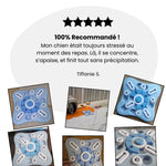 Charger l'image dans la galerie, Gamelle Anti-Glouton