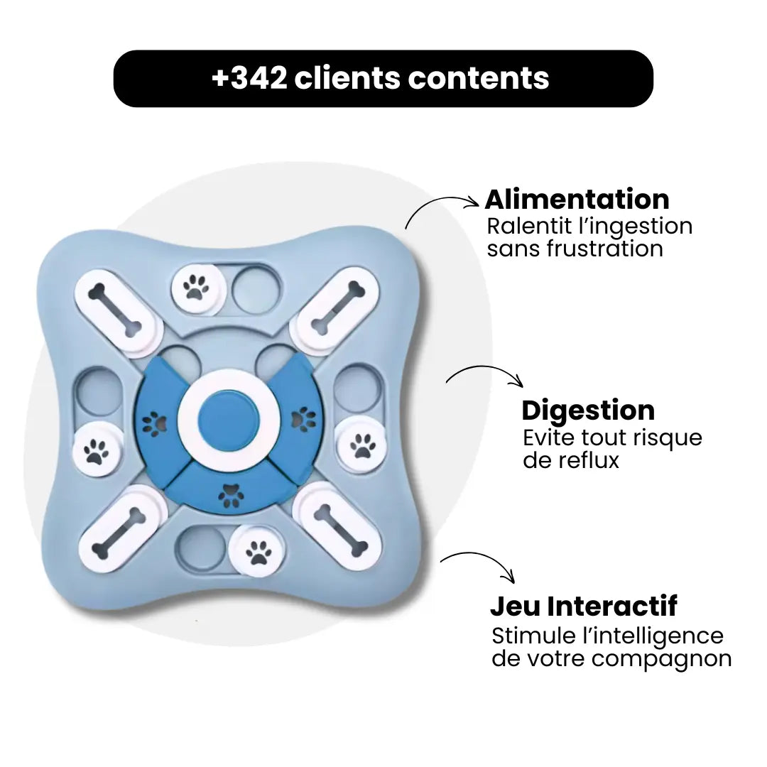Gamelle Anti-Glouton