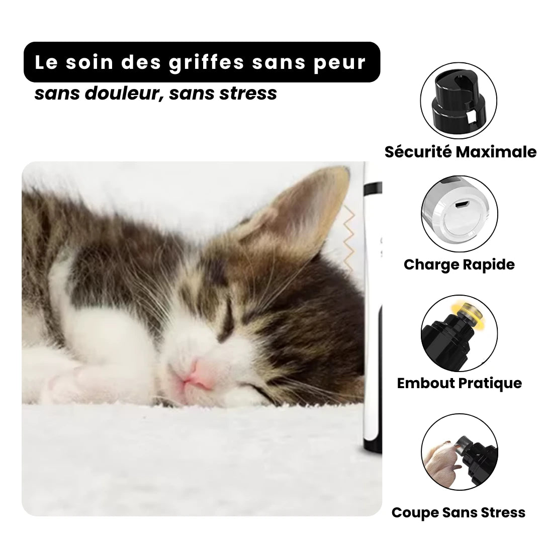 Coupe-Griffes Électrique