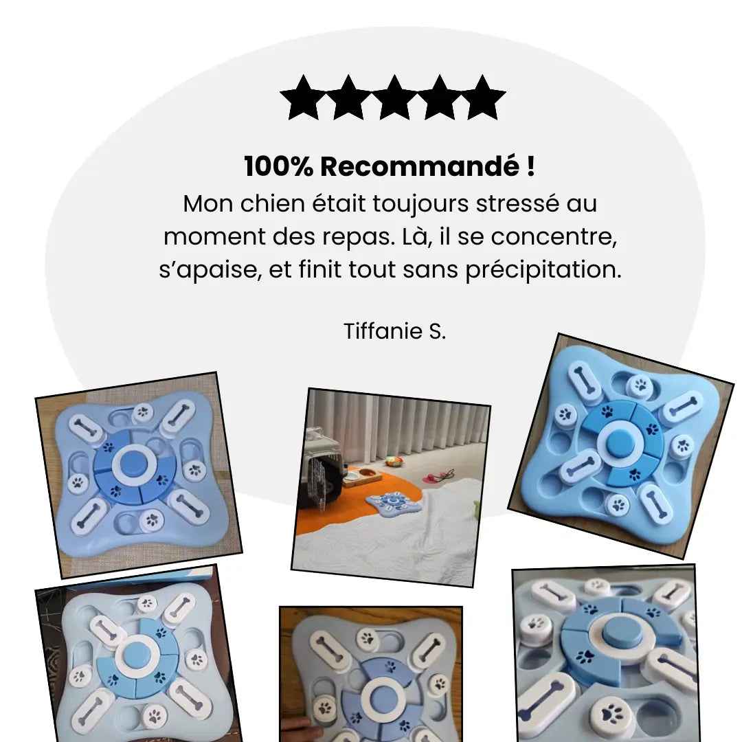 Gamelle Anti-Glouton