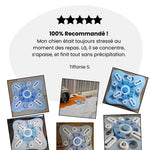 Gamelle Anti-Glouton