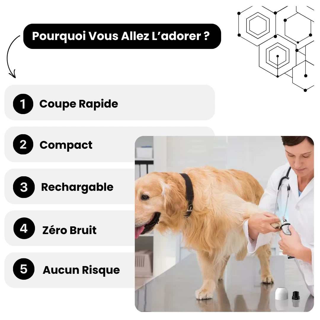 Coupe-Griffes Électrique