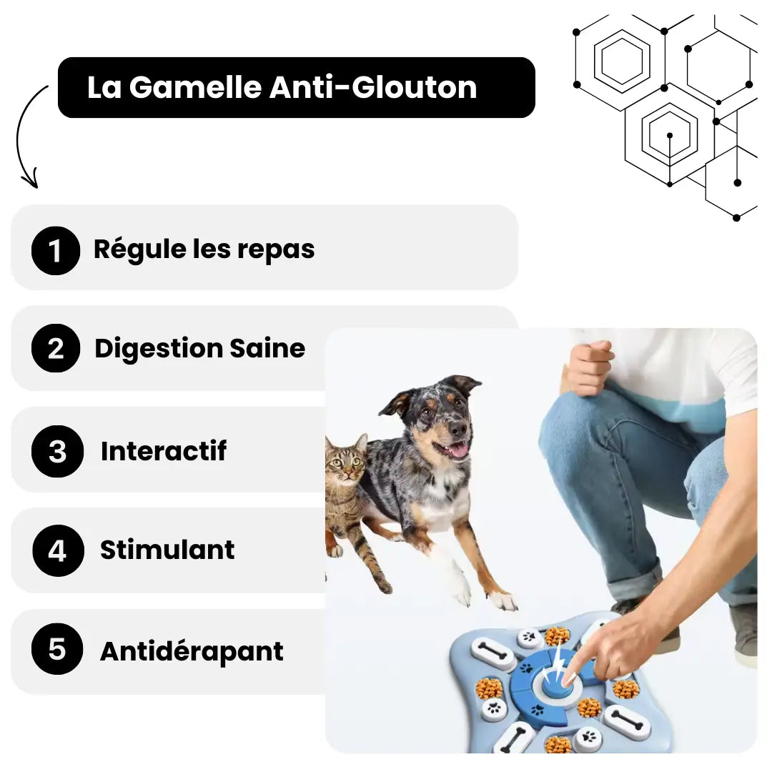 Gamelle Anti-Glouton